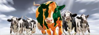 dairy farm equipment supplier rancho cucamonga Southern California Dairy Equipment, Inc.