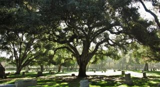 cemetery rancho cucamonga Oak Park Cemetery