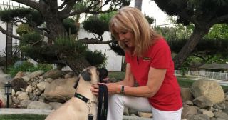dog trainer rancho cucamonga Bark Busters Home Dog Training