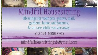 house sitter agency richmond MINDFUL HOUSESITTING