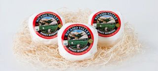 cheese manufacturer richmond Nicasio Valley Cheese Company