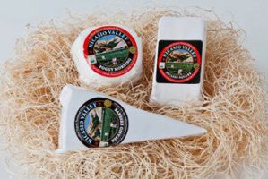 cheese manufacturer richmond Nicasio Valley Cheese Company