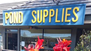 pond supply store richmond Yellow Lotus WaterGardens