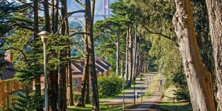ecological park richmond Lovers’ Lane at the Presidio