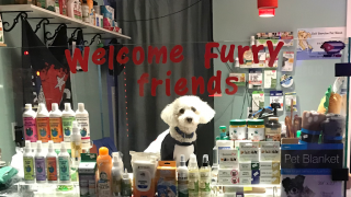 pet store richmond YUBI Happy Pet 