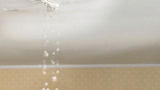 waterproofing company richmond Water Intrusion Experts