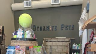 animal feed store richmond Dynamite Pets