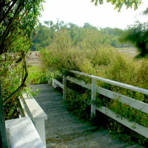 fairground riverside Riverview Recreation Park