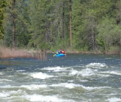 raft trip outfitter roseville Whitewater Excitement, Inc.