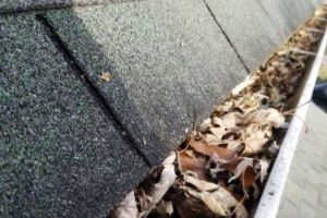 gutter cleaning service roseville Thriving Gutters