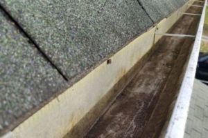 gutter cleaning service roseville Thriving Gutters