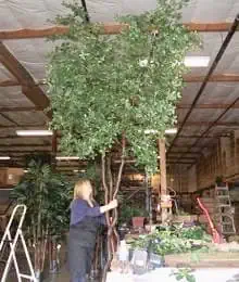 Janet building a custom tree