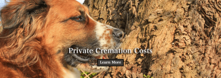 pet cemetery roseville Caring Pet Crematory
