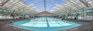 acrobatic diving pool roseville Mike Shellito Indoor Pool