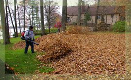 Got Leaves? Let us do the work for you. We can be in and out of your property, usually in one day, leaving your yard clean up and looking good.