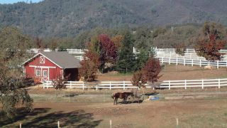 dude ranch roseville 8 Oaks Ranch