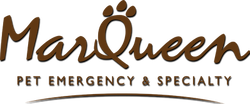 emergency veterinarian service roseville West Roseville Veterinary Hospital