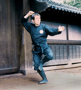 self defense school roseville Kaizen Martial Arts - Bujinkan Buyu Dojo