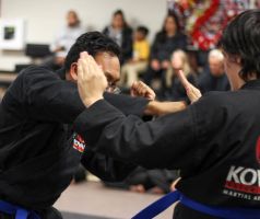 jujitsu school roseville Kovar's Satori Academy of Martial Arts - Roseville