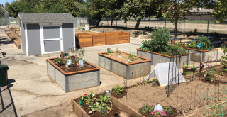 community garden roseville J. Neely Johnson Park Community Garden