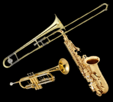 musical instrument rental service roseville The Music Store