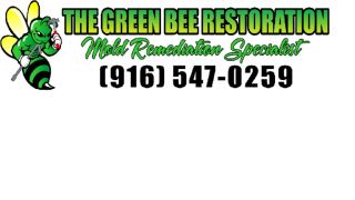 mold maker roseville The Green Bee Restoration