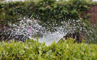 lawn sprinkler system contractor roseville Rocklin Sprinkler Repair