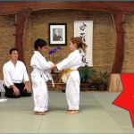 martial arts school roseville Aikido & Healing Arts Center of Roseville