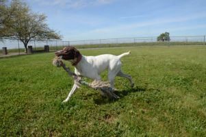 Play time yard