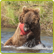 boat tour agency roseville Tundra River Adventures