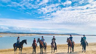 equestrian club roseville Oak Knoll Equestrian Center