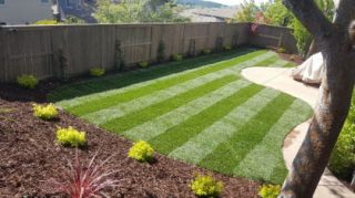 landscaping courses in sacramento A.D. Landscape Service