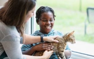 places to adopt cats in sacramento Happy Tails Pet Sanctuary