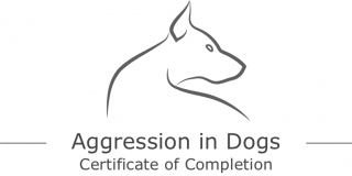 dog training classes sacramento Understanding Dog Training