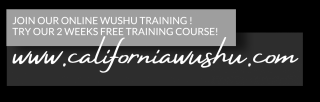 chi kung lessons sacramento California Wushu Academy