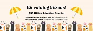 places to adopt cats in sacramento Front Street Animal Shelter