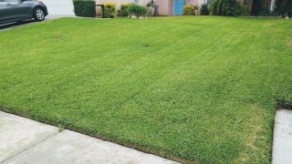 lawn care service san bernardino Cold Springs Lawn Care