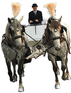 pony ride service san bernardino Dream Catchers Carriages