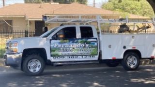 tree service san bernardino Fernando's Tree Services