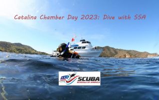 dive club san bernardino Scuba Schools of America & Swim