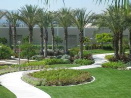 Beautiful View — San Bernardino, CA — Richard Pope & Associates