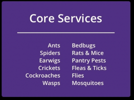 pest control service san bernardino Carey Pest Management