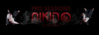 New Pro Sessions Aikido Webpage Header