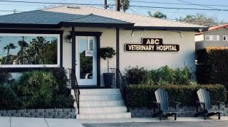 cheap vet san diego ABC Veterinary Hospital San Diego Pacific Beach