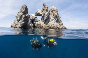 Find Your Next Underwater Adventure