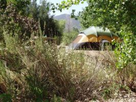 camping with slides in san diego Kumeyaay Lake Campground