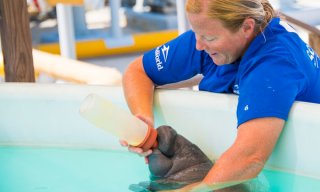 tourist guide san diego SeaWorld San Diego