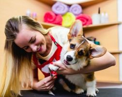 Woman Cutting Dog Nails — San Diego, CA — Suds N Pups Dog Grooming and Wash Inc.