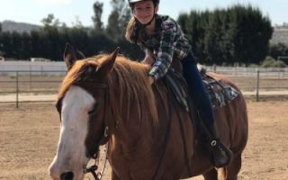 horse riding in san diego Salisbury Farms
