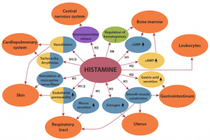 Do you have a Histamine intolerance?